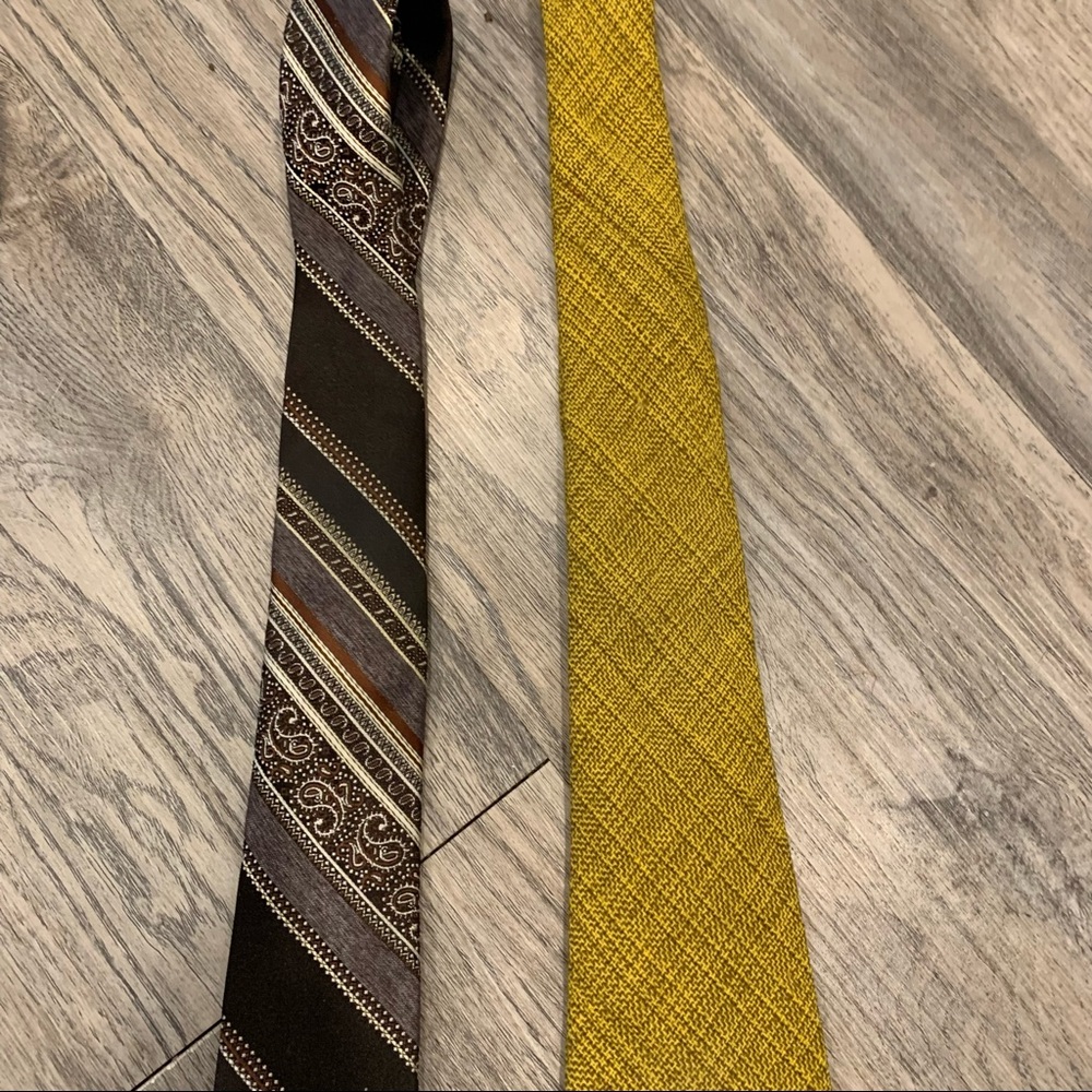 2 Vintage Ties brown stripe Mustard Karen Bulow Pierre Cardin MCM retro Mens